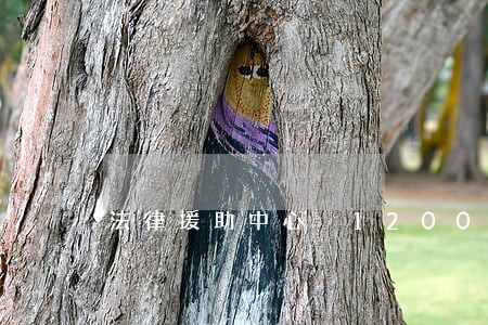 法律援助中心 1200 法律援助中心 1200